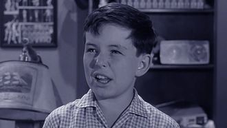 Episode 37 Wally's Play