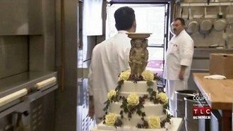 Episode 7 Doves, Ducks, and Delicacies
