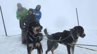 Episode 8 Alaska's Animals
