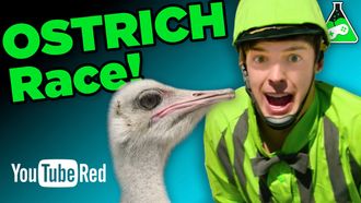 Episode 6 Ostrich Jockeys?! (Final Fantasy XV)
