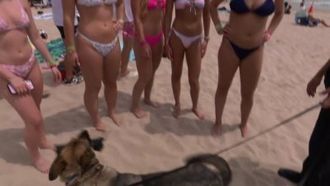 Episode 3 Spring Break: Bombed at the Beach
