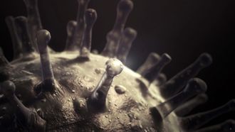 Episode 1 Influenza