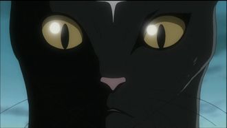 Episode 50 Feelings of Devotion