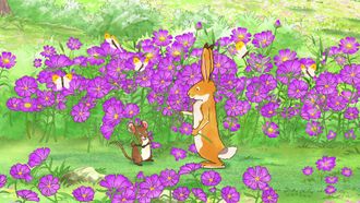 Episode 24 Field of Flowers