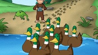 Episode 22 Animal Trackers