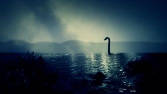 Episode 5 Sea Creatures
