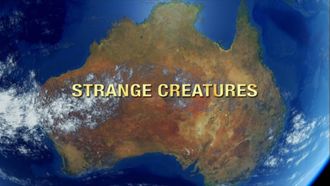 Episode 13 Australia's First 4 Billion Years: Strange Creatures