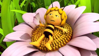 Episode 21 Bee Clean