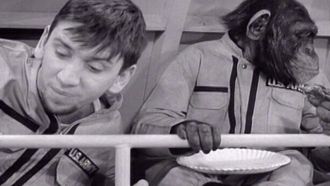 Episode 25 The Little Chimp That Couldn't