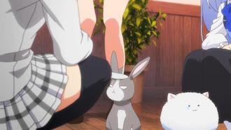 Episode 2 The Ash-Colored Rabbit and the Ash Princess