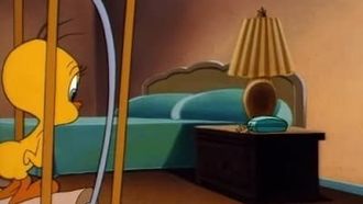 Episode 1 The Cat Who Knew Too Much