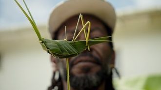 Episode 6 St. Lucia