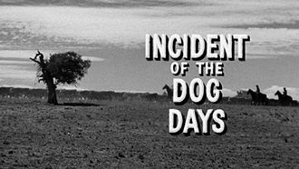 Episode 14 Incident of the Dog Days