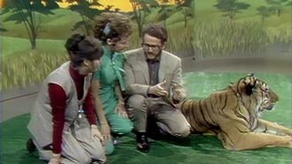 Episode 8 Barbara Feldon