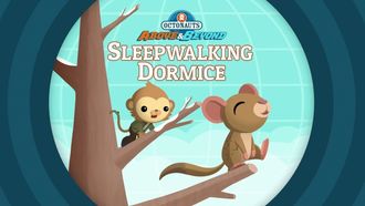 Episode 18 The Octonauts and the Sleepwalking Dormice
