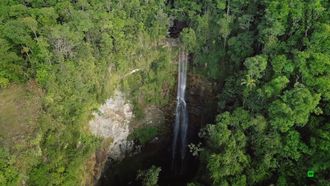 Episode 6 Borneo: Dark Shadow