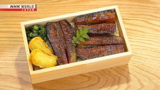 Episode 13 Fried Tofu Patty (Ganmodoki) Bento & Unagi-style Eggplant (Unagi Modoki) Bento
