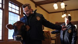 Episode 5 Cows and Raccoons