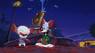 Episode 40 Brain's Night Off