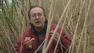 Episode 1 The Guerrilla Base of the King - Athelney, Somerset