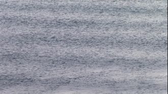Episode 4 Oceans
