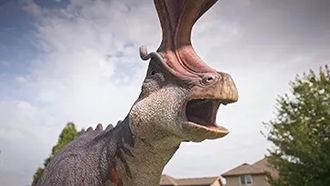 Episode 6 Dino Dress Up