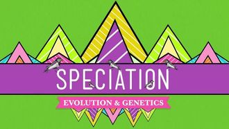 Episode 15 Speciation