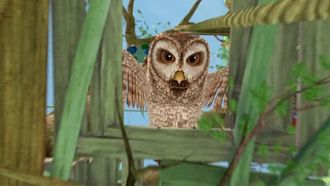 Episode 51 The Tale of The Scare Owl