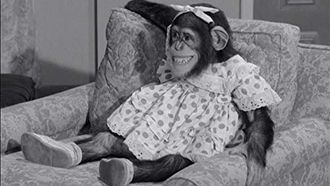 Episode 2 Joey Meets Jack Paar