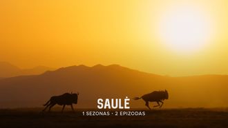 Episode 2 The Sun