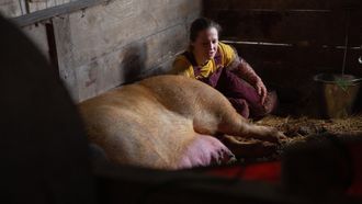 Episode 5 Three Little Piglets