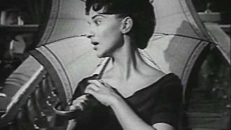 Episode 19 The Case of the Vanished Detective
