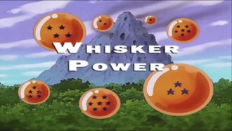 Episode 8 Whisker Power