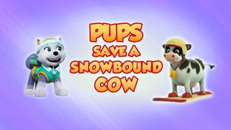 Episode 2 Pups Save a Sweet Mayor/Pups Save a Magic Trick