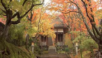 Episode 17 The Changing Leaves: The Transient Fall Beauty of the Ancient Capital