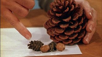 Episode 12 Seeds