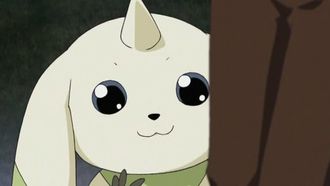 Episode 2 Digimon, Digimon Everywhere