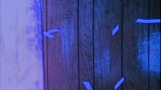 Episode 12 The Monster/A Cousin's Promise
