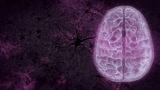 Episode 9 Your Brain: Perception Deception