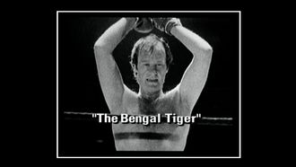 Episode 7 The Bengal Tiger