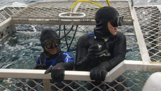Episode 6 Great White Shark