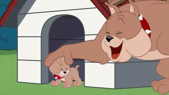 Episode 4 Cheesy Ball Run/Say Uncle/Here Comes the Bribe