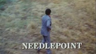 Episode 5 Needlepoint