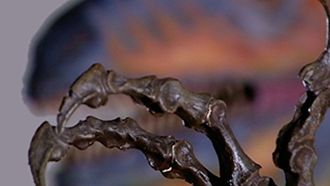 Episode 2 Velociraptor vs. Ankylosaur