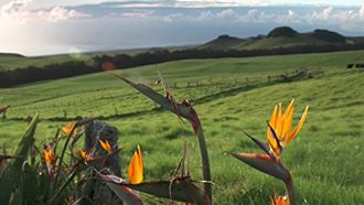 Episode 8 Hawaii's Big Island: Eyeballs and Abalone