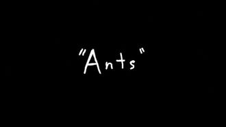 Episode 8 Ants