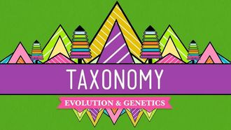 Episode 19 Taxonomy
