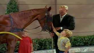 Episode 3 The Gift Horse