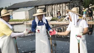 Episode 409 Tasty Food Race Jeollanam-do's 7 Flavors (2)