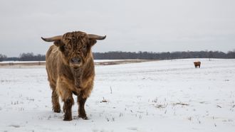 Episode 7 Walking in a Winter Pol-ar Land